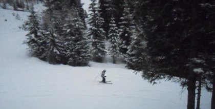 naturhotel-urlaubsfotos-winter-2012-0101--0501 bild#101