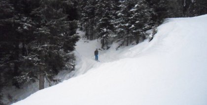 naturhotel-urlaubsfotos-winter-2012-0101--0501 bild#118