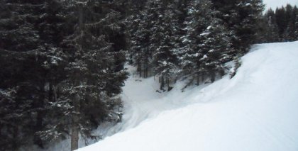 naturhotel-urlaubsfotos-winter-2012-0101--0501 bild#124
