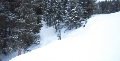naturhotel-urlaubsfotos-winter-2012-0101--0501 bild#126