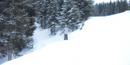 naturhotel-urlaubsfotos-winter-2012-0101--0501 bild#128