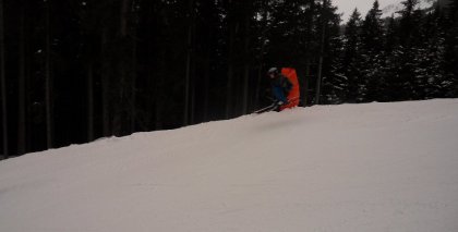 naturhotel-urlaubsfotos-winter-2012-0101--0501 bild#160