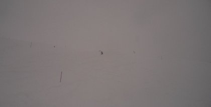 naturhotel-urlaubsfotos-winter-2012-0101--0501 bild#175