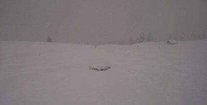 naturhotel-urlaubsfotos-winter-2012-0101--0501 bild#194