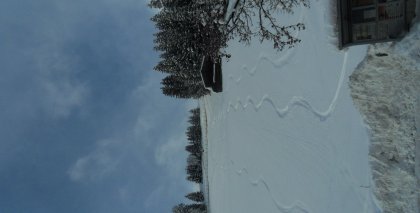 naturhotel-urlaubsfotos-winter-2012-0801--0901 bild#25