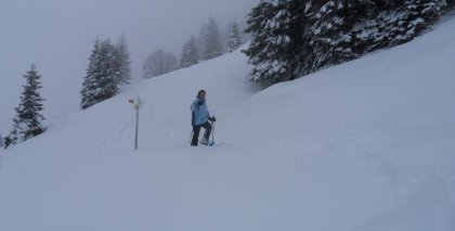 naturhotel-urlaubsfotos-winter-2012-0801--0901 bild#43