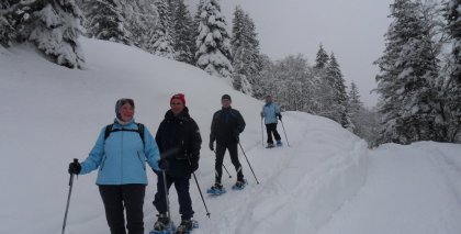 naturhotel-urlaubsfotos-winter-2012-0801--0901 bild#45