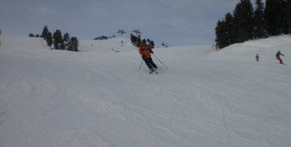 naturhotel-urlaubsfotos-winter-2012-1501--2001 bild#23