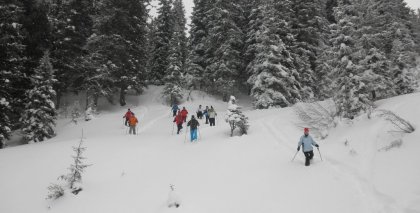 naturhotel-urlaubsfotos-winter-2012-0801--0901 bild#76