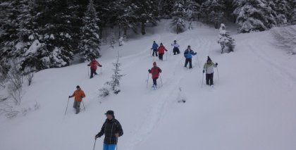 naturhotel-urlaubsfotos-winter-2012-0801--0901 bild#77