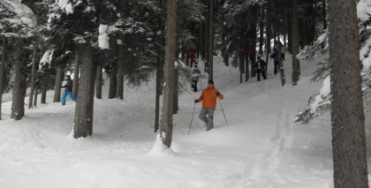 naturhotel-urlaubsfotos-winter-2012-0801--0901 bild#81
