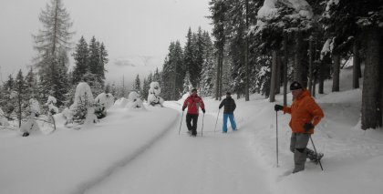 naturhotel-urlaubsfotos-winter-2012-0801--0901 bild#82