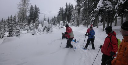 naturhotel-urlaubsfotos-winter-2012-0801--0901 bild#84