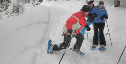 naturhotel-urlaubsfotos-winter-2012-0801--0901 bild#85