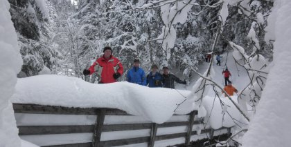 naturhotel-urlaubsfotos-winter-2012-0801--0901 bild#89
