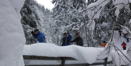 naturhotel-urlaubsfotos-winter-2012-0801--0901 bild#90
