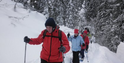 naturhotel-urlaubsfotos-winter-2012-0801--0901 bild#94