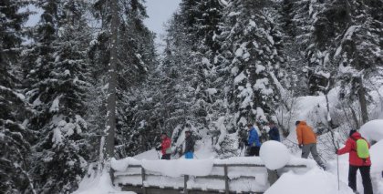 naturhotel-urlaubsfotos-winter-2012-0801--0901 bild#95