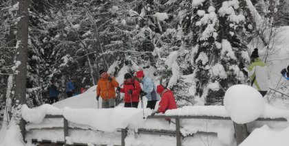 naturhotel-urlaubsfotos-winter-2012-0801--0901 bild#96