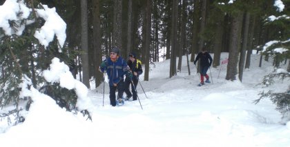 naturhotel-urlaubsfotos-winter-2012-1501--2001 bild#43