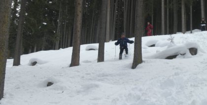 naturhotel-urlaubsfotos-winter-2012-1501--2001 bild#52