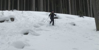 naturhotel-urlaubsfotos-winter-2012-1501--2001 bild#54