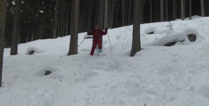 naturhotel-urlaubsfotos-winter-2012-1501--2001 bild#56
