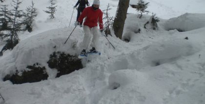 naturhotel-urlaubsfotos-winter-2012-1501--2001 bild#59