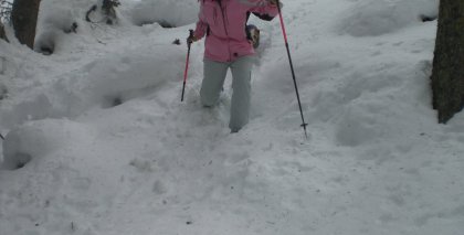 naturhotel-urlaubsfotos-winter-2012-1501--2001 bild#61