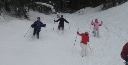 naturhotel-urlaubsfotos-winter-2012-1501--2001 bild#72