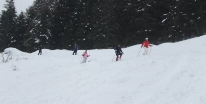 naturhotel-urlaubsfotos-winter-2012-1501--2001 bild#74
