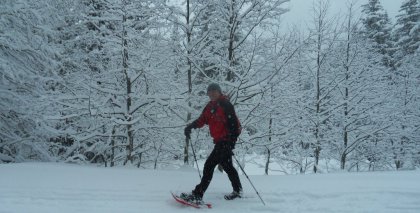 naturhotel-urlaubsfotos-winter-2012-2201--2601 bild#27