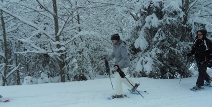 naturhotel-urlaubsfotos-winter-2012-2201--2601 bild#28