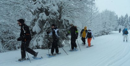 naturhotel-urlaubsfotos-winter-2012-2201--2601 bild#29