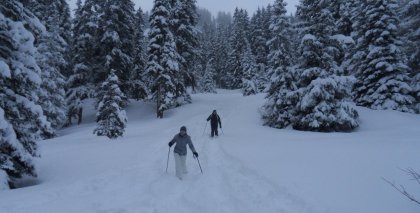 naturhotel-urlaubsfotos-winter-2012-2201--2601 bild#35
