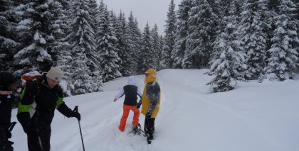 naturhotel-urlaubsfotos-winter-2012-2201--2601 bild#36
