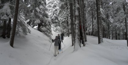 naturhotel-urlaubsfotos-winter-2012-2201--2601 bild#37