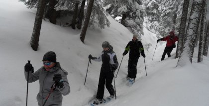 naturhotel-urlaubsfotos-winter-2012-2201--2601 bild#38