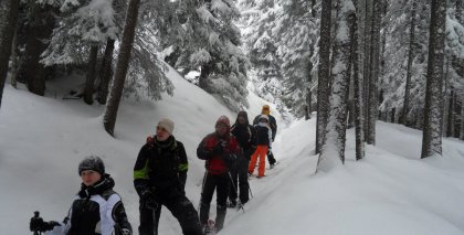 naturhotel-urlaubsfotos-winter-2012-2201--2601 bild#39