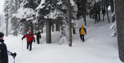 naturhotel-urlaubsfotos-winter-2012-2201--2601 bild#40
