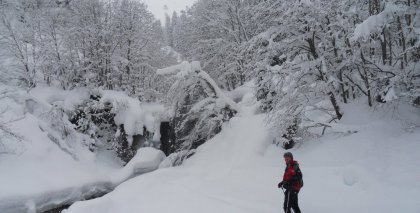 naturhotel-urlaubsfotos-winter-2012-2201--2601 bild#44