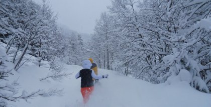 naturhotel-urlaubsfotos-winter-2012-2201--2601 bild#47