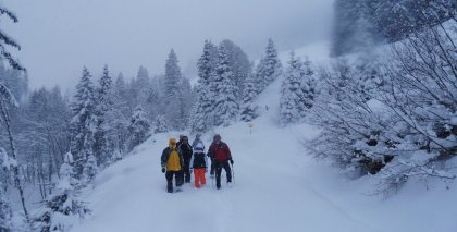 naturhotel-urlaubsfotos-winter-2012-2201--2601 bild#49