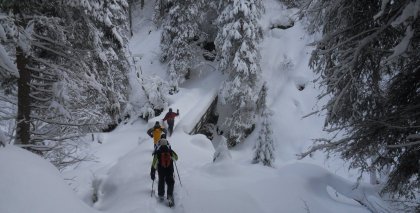 naturhotel-urlaubsfotos-winter-2012-2201--2601 bild#53