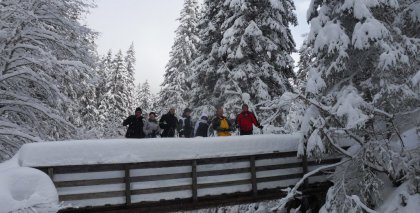 naturhotel-urlaubsfotos-winter-2012-2201--2601 bild#54