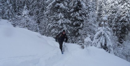 naturhotel-urlaubsfotos-winter-2012-2201--2601 bild#55