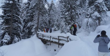 naturhotel-urlaubsfotos-winter-2012-2201--2601 bild#56