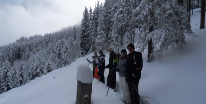 naturhotel-urlaubsfotos-winter-2012-2201--2601 bild#57