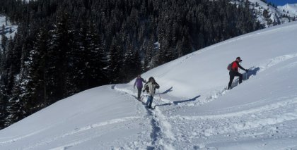 naturhotel-urlaubsfotos-winter-2012-2201--2601 bild#86