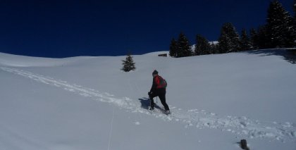 naturhotel-urlaubsfotos-winter-2012-2201--2601 bild#87